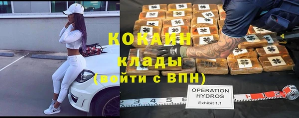 твердый Алексеевка