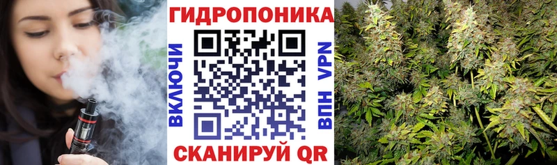 Канабис THC 21%  Жирновск 